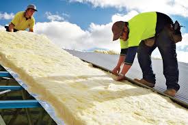 Best Insulation for New Construction  in Zwolle, LA